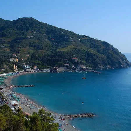 Lyric Levanto